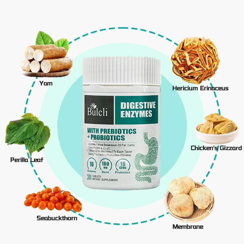 bulcli-digestive-enzymes-key-ingredients-overview Key ingredients of Bulcli Digestive Enzymes including enzymes, prebiotics and probiotics